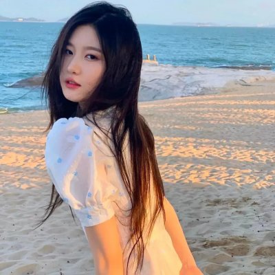 新流星蝴蝶剑